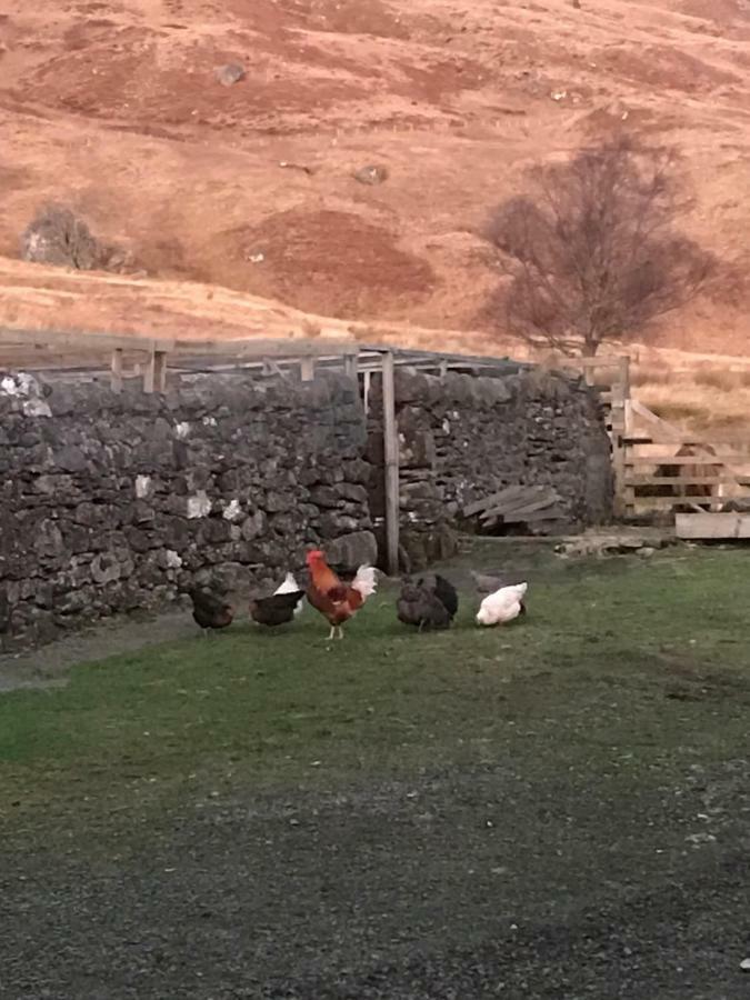 Garrison Of Inversnaid Farm With Hot Tub Extérieur photo