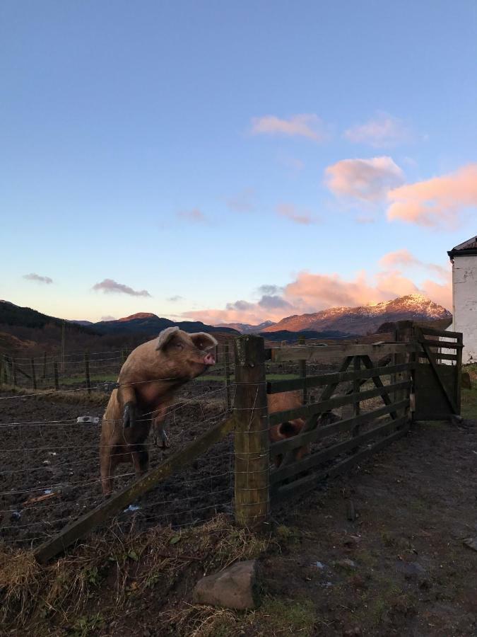 Garrison Of Inversnaid Farm With Hot Tub Extérieur photo