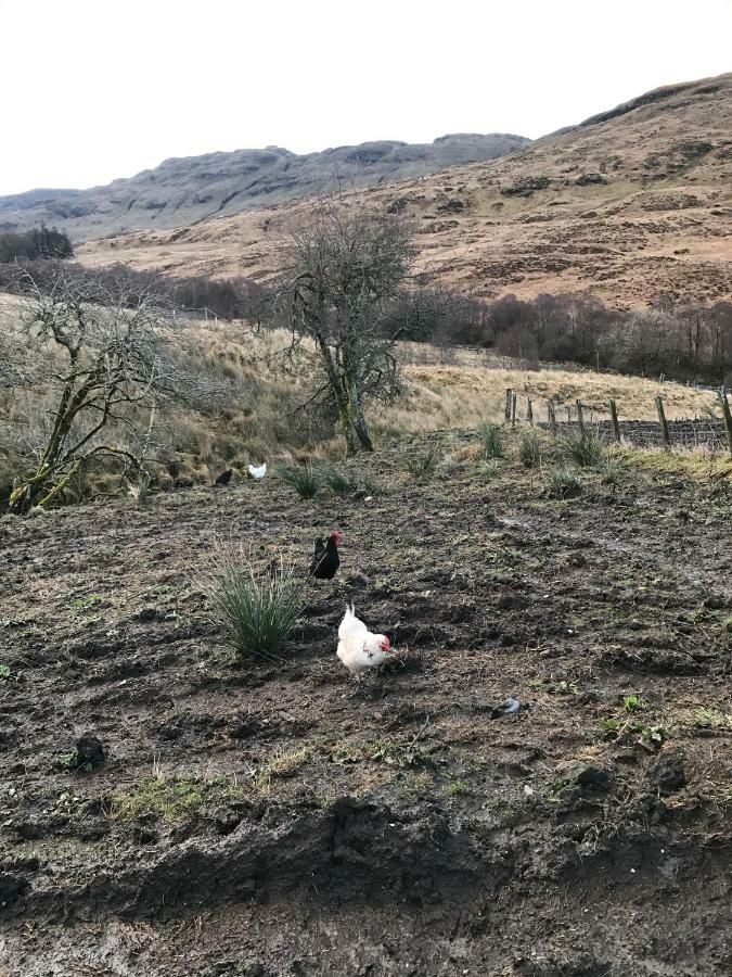 Garrison Of Inversnaid Farm With Hot Tub Extérieur photo