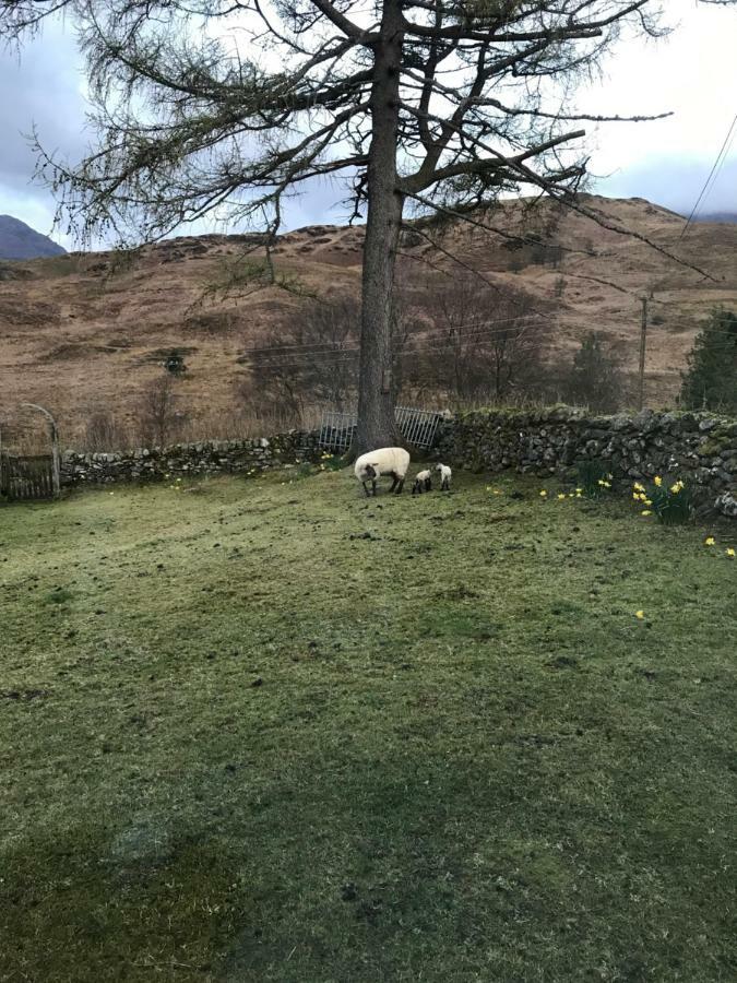 Garrison Of Inversnaid Farm With Hot Tub Extérieur photo
